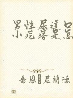 男性尿道口长了小疙瘩是怎么回事