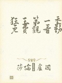 狂王第一季全集免费观看动漫版