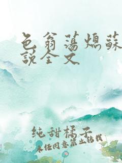 色翁荡熄苏钥小说全文