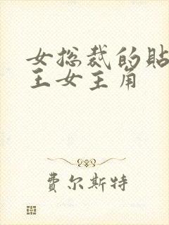 女总裁的贴身兵王女主角