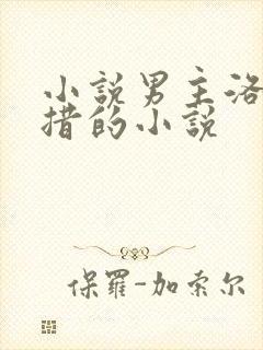 小说男主洛追嘉措的小说