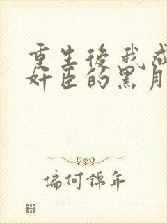 重生后 我成了奸臣的黑月光