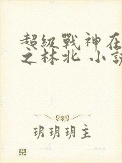 超级战神在都市之林北 小说