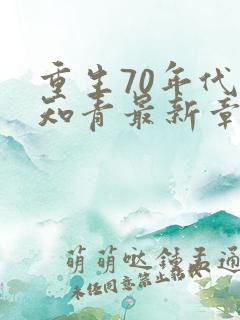 重生70年代当知青最新章节