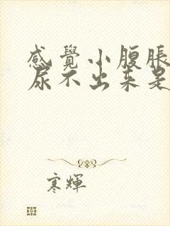 感觉小腹胀但是尿不出来是怎么回事