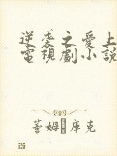 逆袭之爱上情敌电视剧小说在线阅读