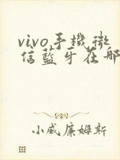 vivo手机微信蓝牙在哪里打开