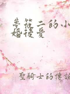 梦筱二的小说先婚后爱