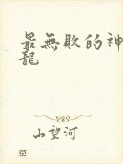 最无败的神装机龙