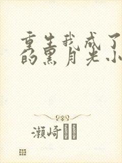 重生我成了权臣的黑月光小说