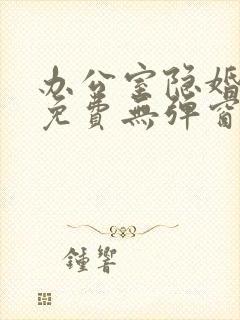 办公室隐婚小说免费无弹窗