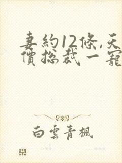 妻约12条,天价总裁一宠到底阅读全文