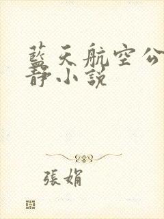 蓝天航空公司王静小说