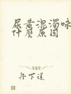 尿黄混浊味重是什么原因