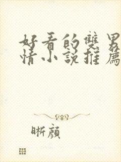 好看的双男主言情小说推荐