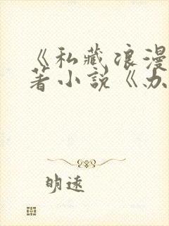 《私藏浪漫》原著小说《办公室隐婚》