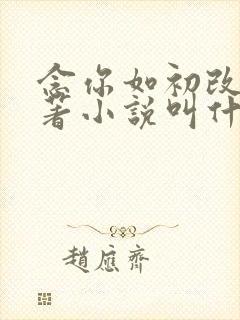 念你如初改编原著小说叫什么