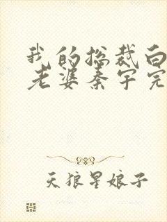 我的总裁白富美老婆秦宇完全版