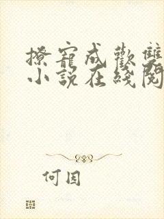 撩宠成欢双男主小说在线阅读