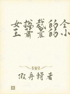 女总裁的全能兵王萧晨的小说