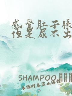 感觉肚子胀有尿但是尿不出来怎么办