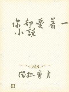 你却爱着一个他 小说