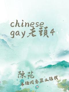 chinesegay老头4