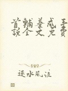 首辅养成手册小说全文免费阅读全文