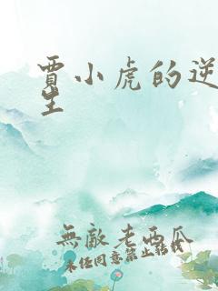 贾小虎的逆袭人生