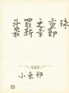 斗罗之灵珠神剑最新章节