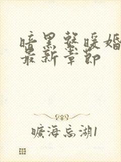 暗黑系暖婚下载最新章节