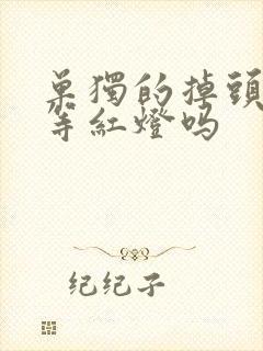 单独的掉头车道等红灯吗