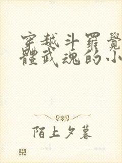 穿越斗罗觉醒本体武魂的小说