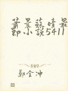 萧晨苏晴最新章节小说5411