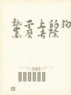 垫子上的狗尿味怎么去除