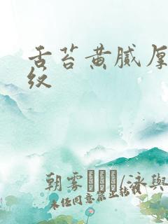 舌苔黄腻厚有裂纹