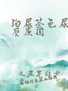 狗尿茶色尿是什么原因