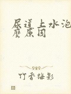 尿道上水泡是什么原因