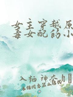 女主穿越原耽恶毒女配的小说