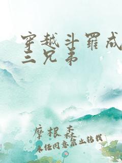 穿越斗罗成为唐三兄弟