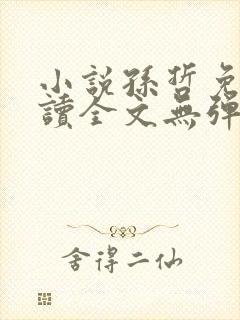 小说孙哲免费阅读全文无弹窗