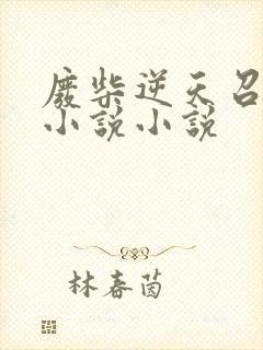 废柴逆天召唤师小说小说