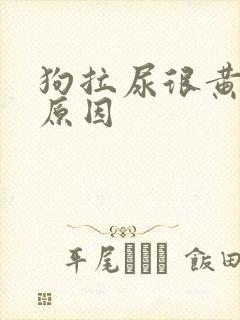 狗拉尿很黄什么原因