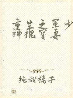 重生之军少枭宠神棍宝妻