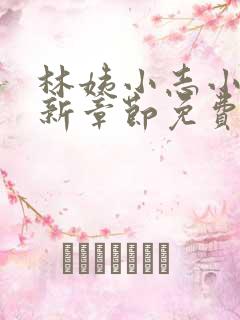 林姨小志小说最新章节免费阅读