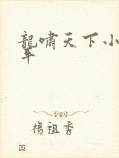 龙啸天下小说陈平