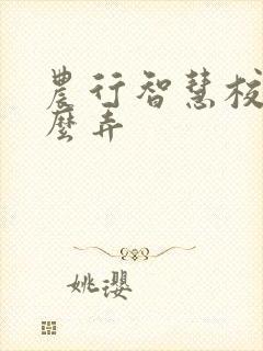 农行智慧校园怎么弄