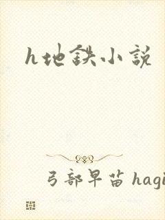 h地铁小说