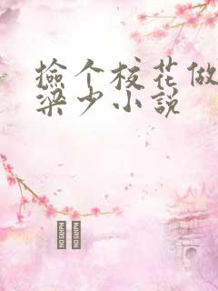 捡个校花做老婆梁少小说