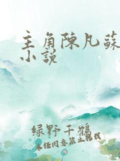 主角陈凡苏若初小说